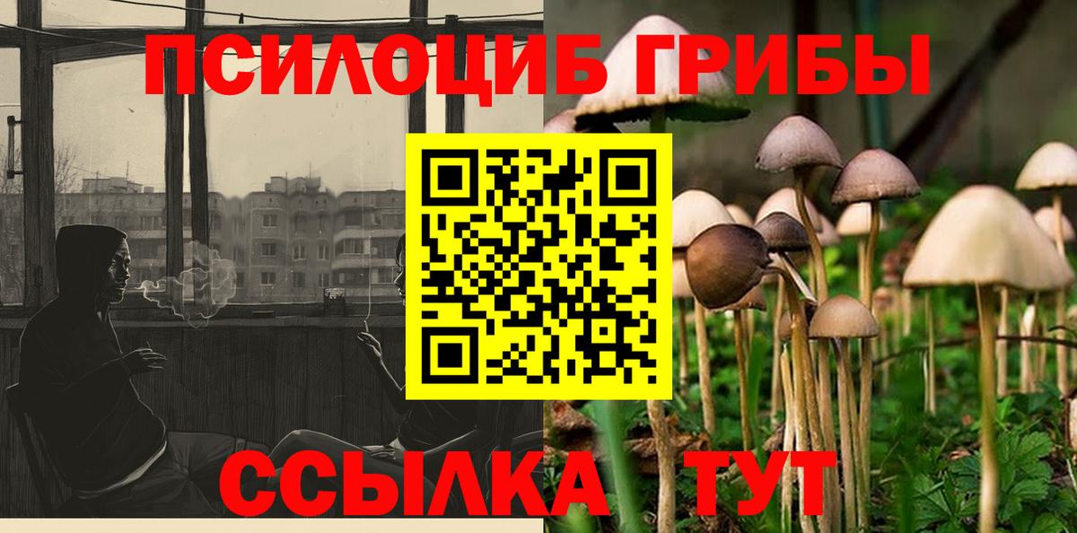 Галлюциногенные грибы прущие грибы Канаш