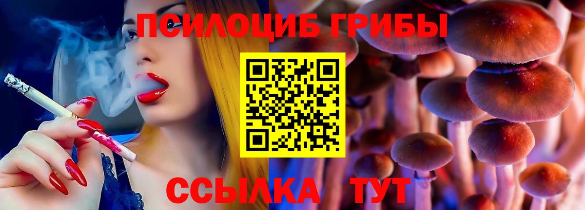 Канаш  Псилоцибиновые грибы Cubensis  Псилоцибиновые грибы Psilocybine cubensis  Вход с VPN 